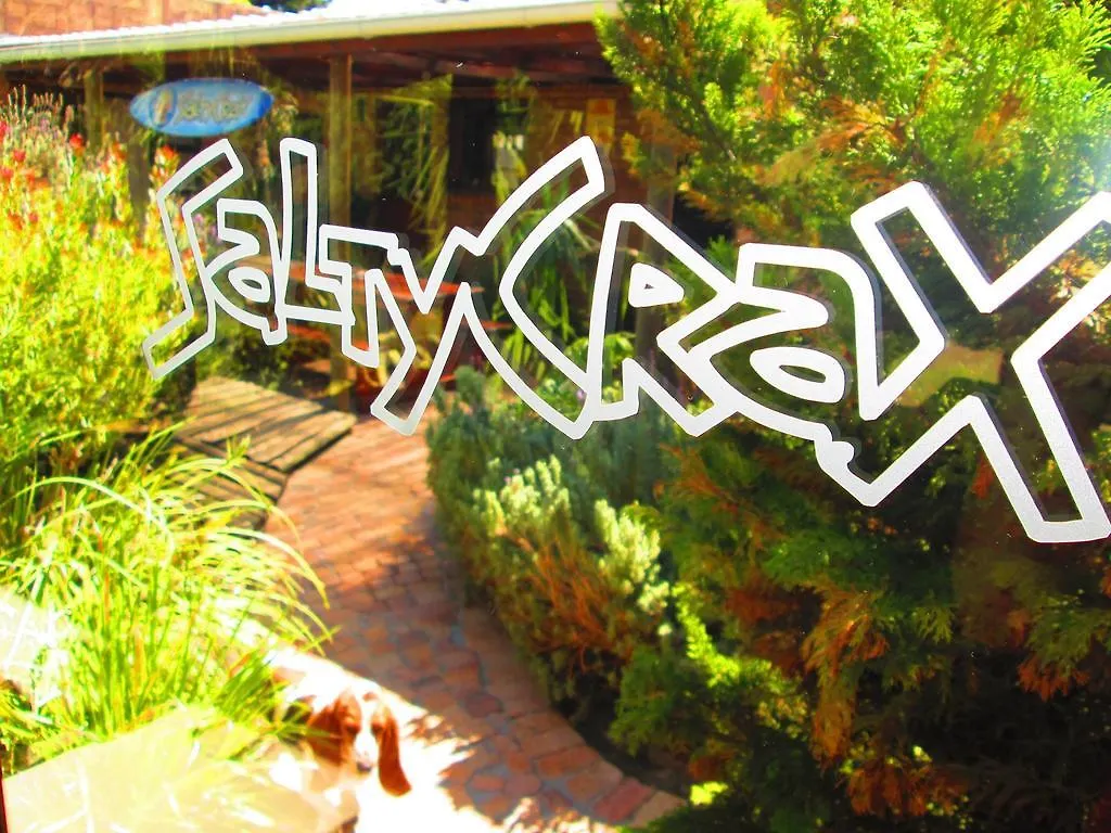 Saltycrax Backpackers And Surf Hostel By Curiocity South Africa