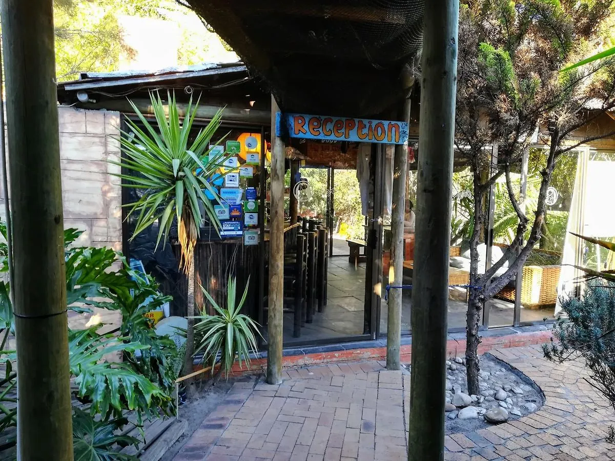 Saltycrax Backpackers And Surf Hostel By Curiocity South Africa